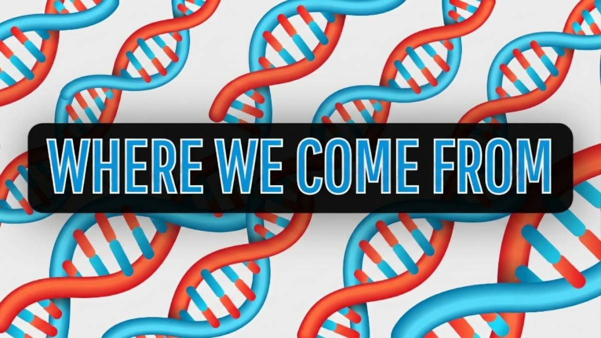 Where We Come From
