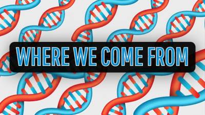 Where We Come From